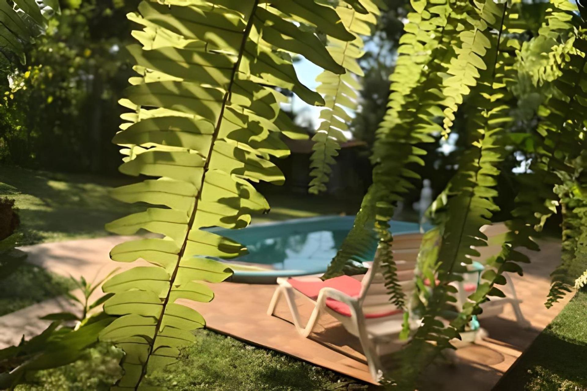 Cabanas Con Piscina En La Entrada De Oberá Exteriér fotografie